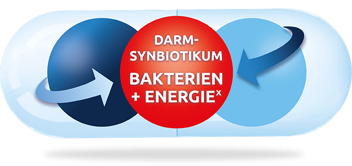 Darmsymbiotikum, Bakterien + Energie